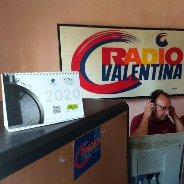 Pino Niro